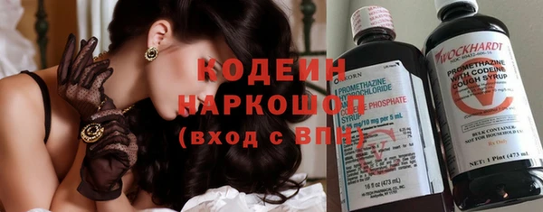 молекула духа Арсеньев