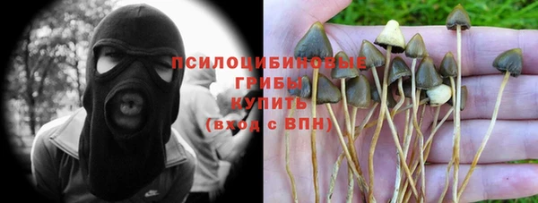 молекула духа Арсеньев