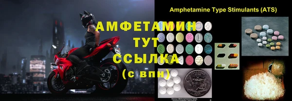 молекула духа Арсеньев