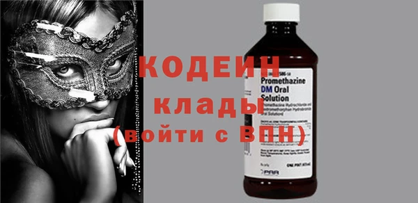 молекула духа Арсеньев