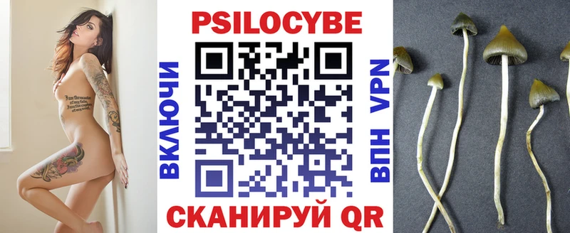 Галлюциногенные грибы Psilocybine cubensis Белинский